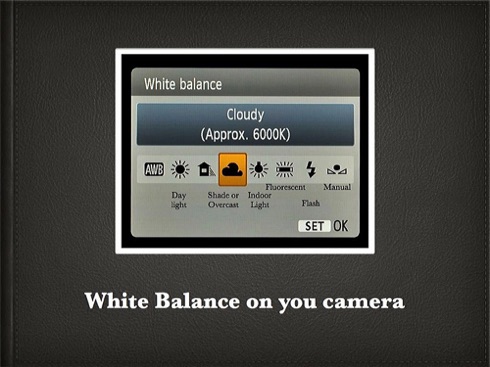 How to White Balance.008.jpg How to White Balance.008.jpg